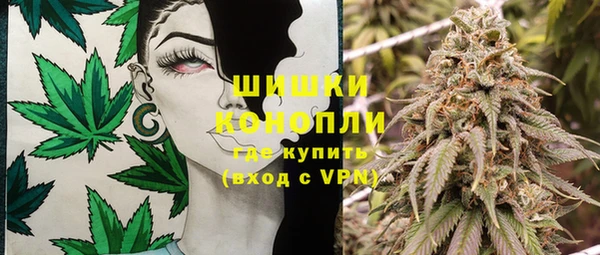 индика Алексеевка