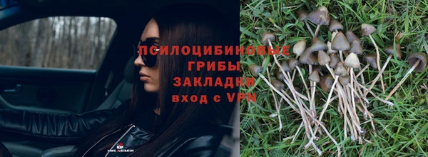 круглые Алексин